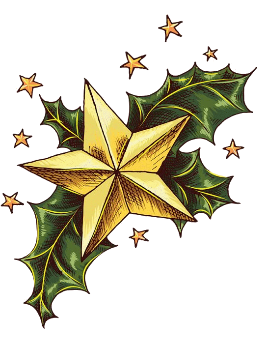 Estrella de Navidad
